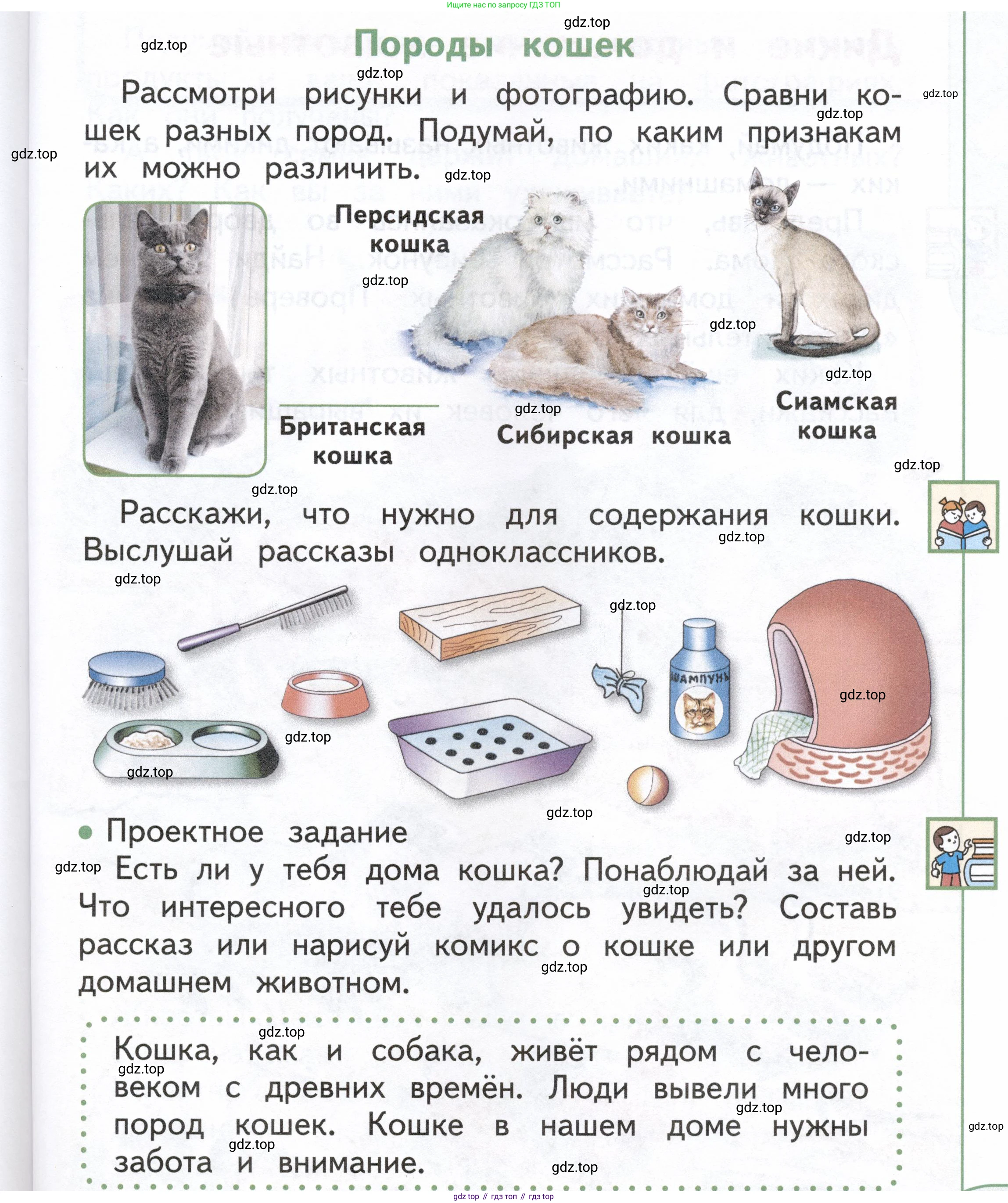 ГДЗ Окружающий мир, 1 класс Учебник, авторы: Плешаков Андрей Анатольевич, Новицкая Марина Юрьевна, издательство Просвещение, Москва, 2023, белого цвета, Часть 1, страница 79, Условие