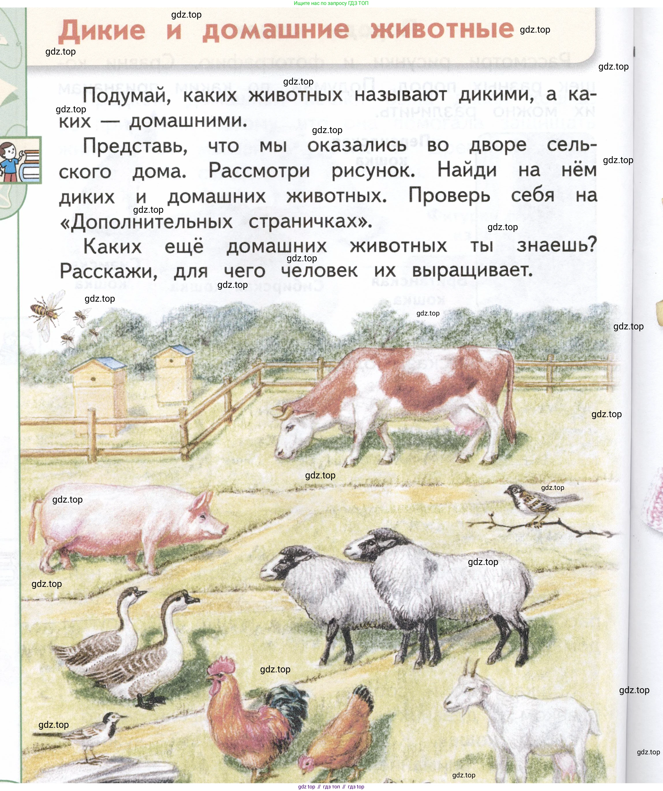 ГДЗ Окружающий мир, 1 класс Учебник, авторы: Плешаков Андрей Анатольевич, Новицкая Марина Юрьевна, издательство Просвещение, Москва, 2023, белого цвета, Часть 1, страница 80, Условие