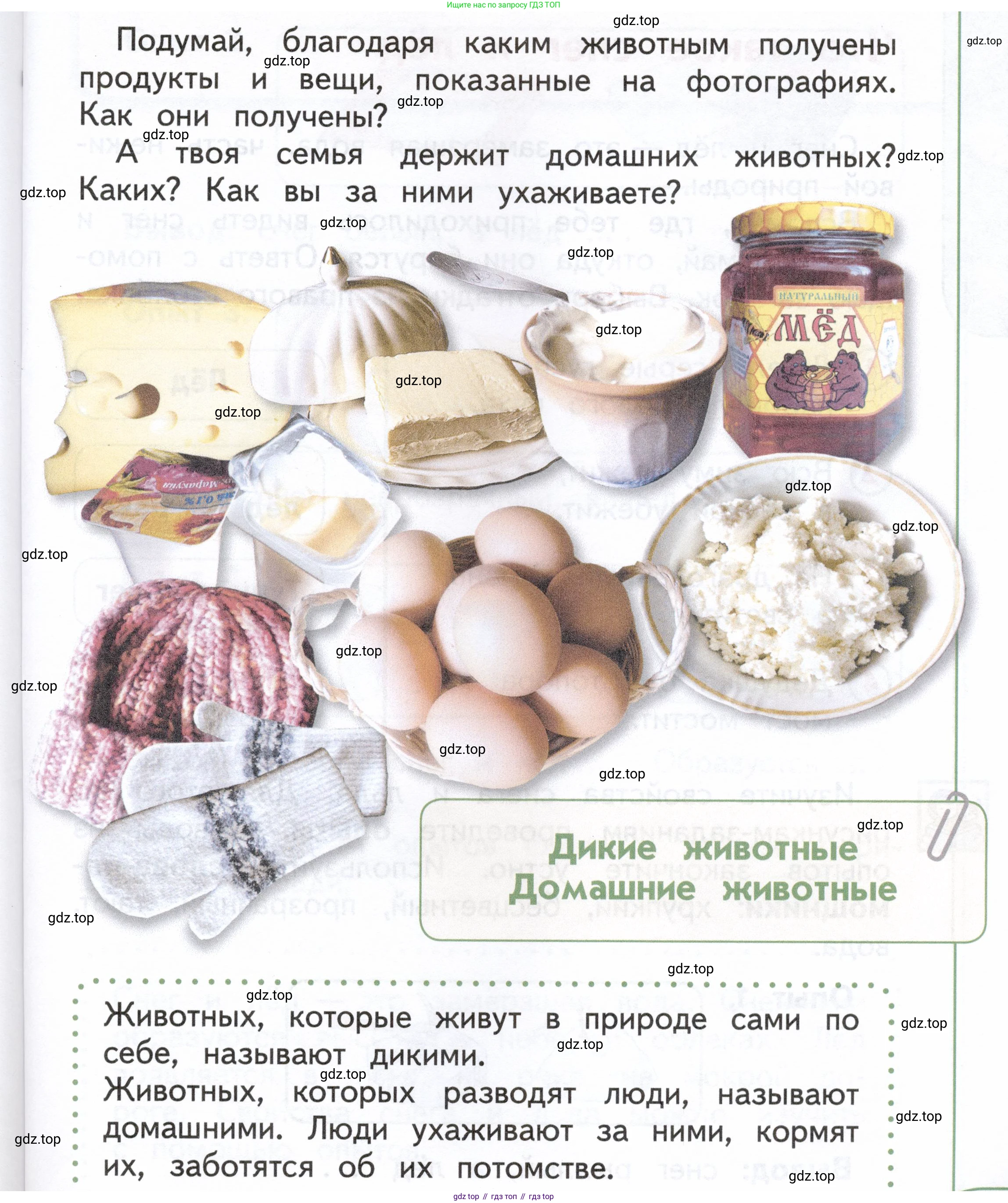 ГДЗ Окружающий мир, 1 класс Учебник, авторы: Плешаков Андрей Анатольевич, Новицкая Марина Юрьевна, издательство Просвещение, Москва, 2023, белого цвета, Часть 1, страница 81, Условие