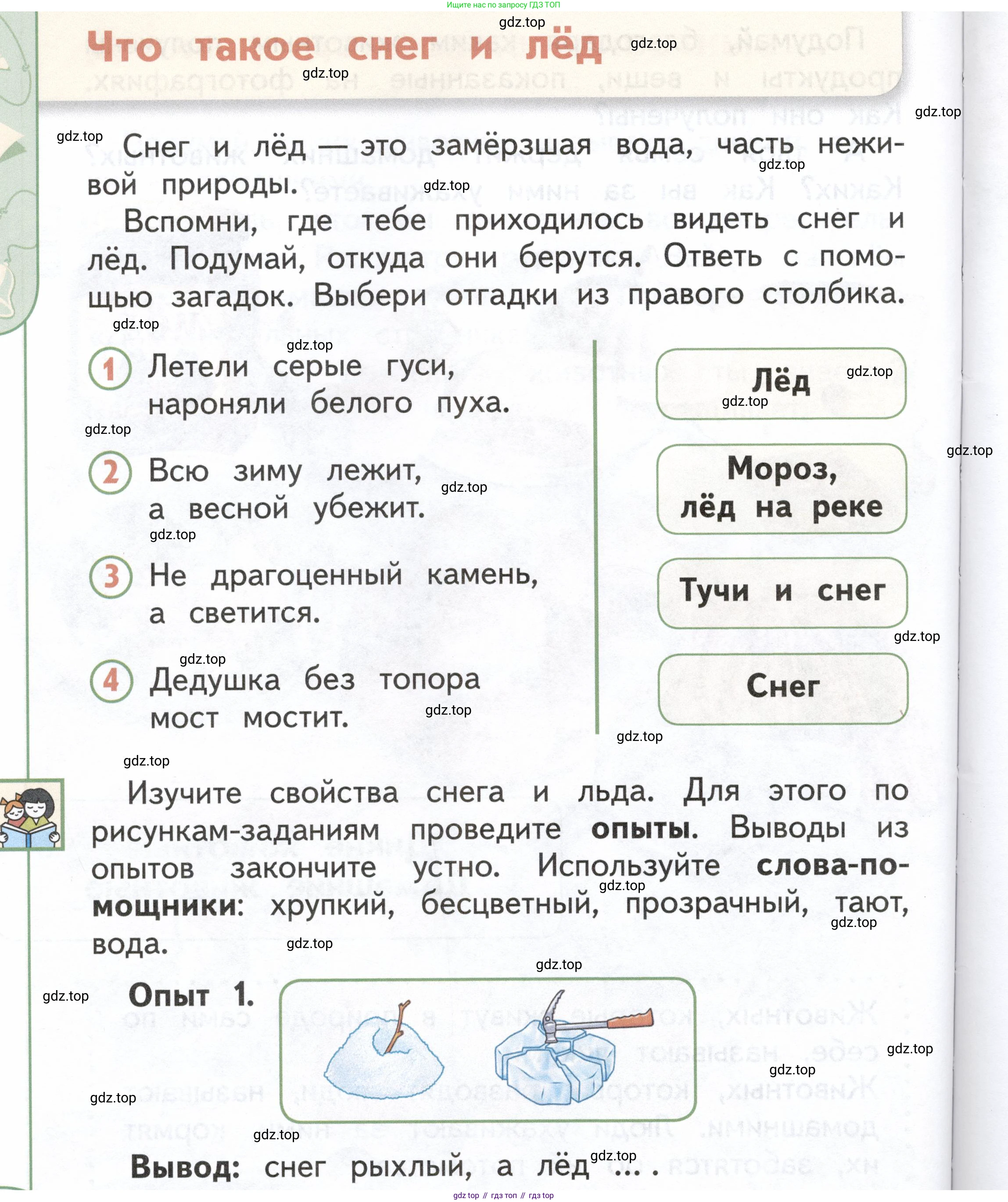 ГДЗ Окружающий мир, 1 класс Учебник, авторы: Плешаков Андрей Анатольевич, Новицкая Марина Юрьевна, издательство Просвещение, Москва, 2023, белого цвета, Часть 1, страница 82, Условие