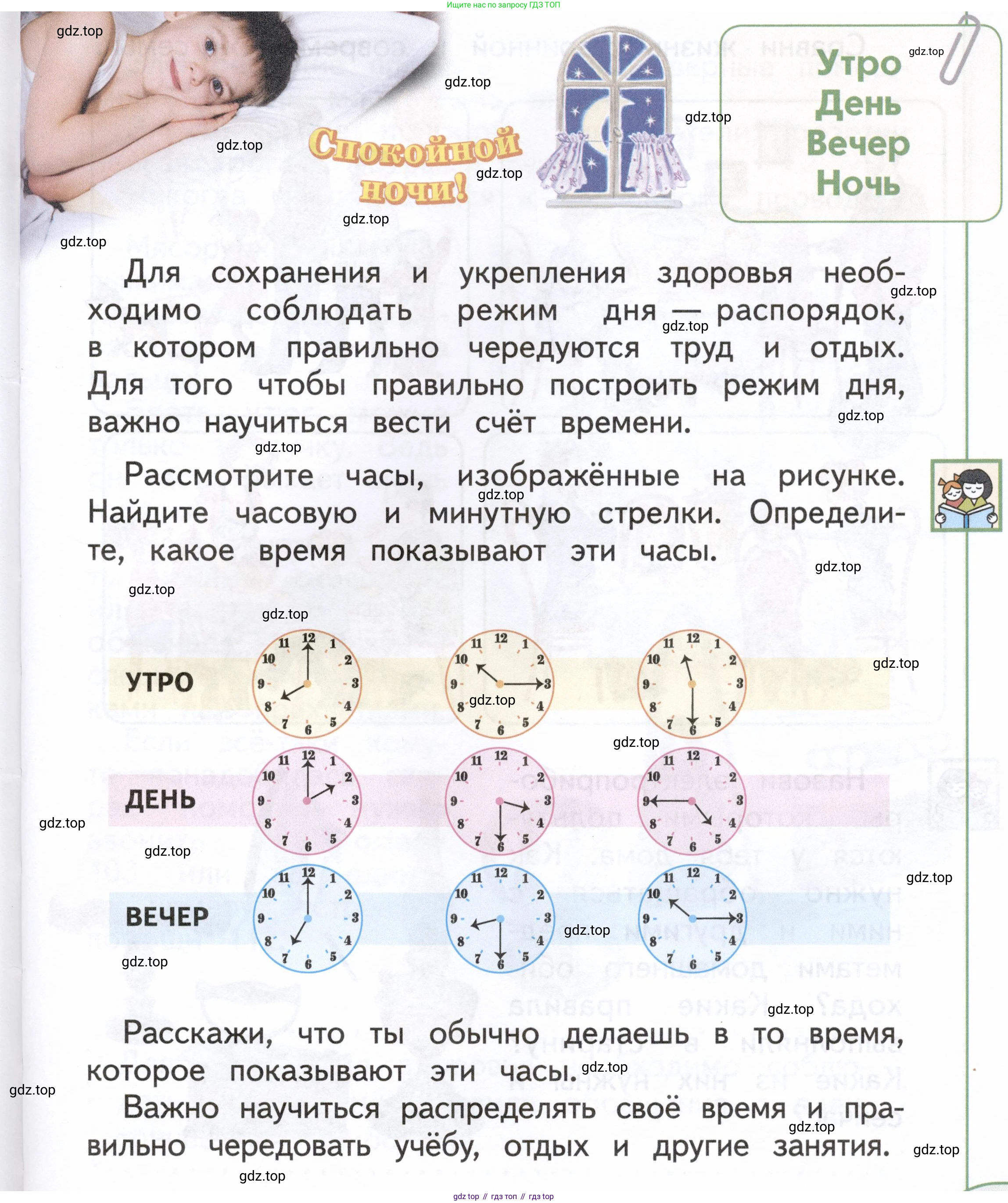 ГДЗ Окружающий мир, 1 класс Учебник, авторы: Плешаков Андрей Анатольевич, Новицкая Марина Юрьевна, издательство Просвещение, Москва, 2023, белого цвета, Часть 1, страница 85, Условие