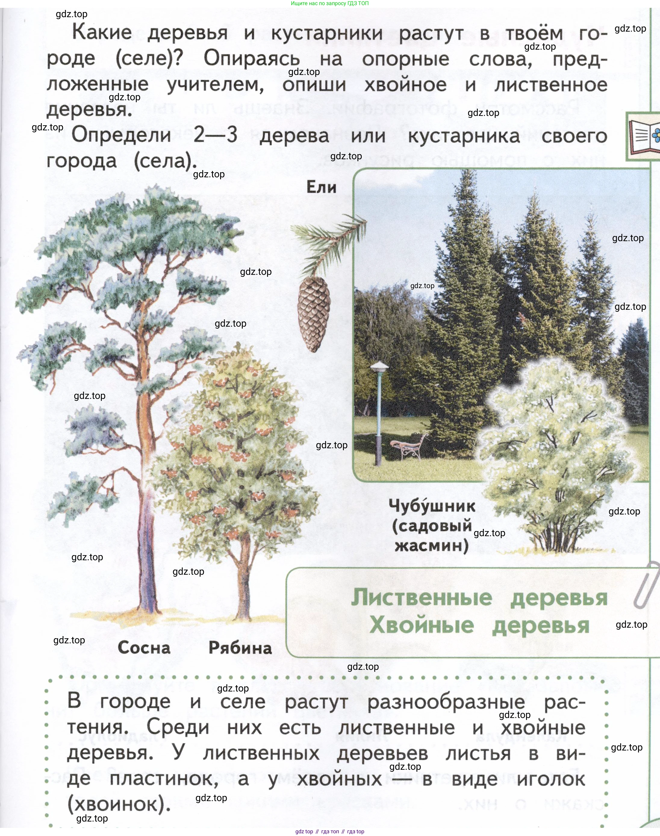 ГДЗ Окружающий мир, 1 класс Учебник, авторы: Плешаков Андрей Анатольевич, Новицкая Марина Юрьевна, издательство Просвещение, Москва, 2023, белого цвета, Часть 2, страница 23, Условие