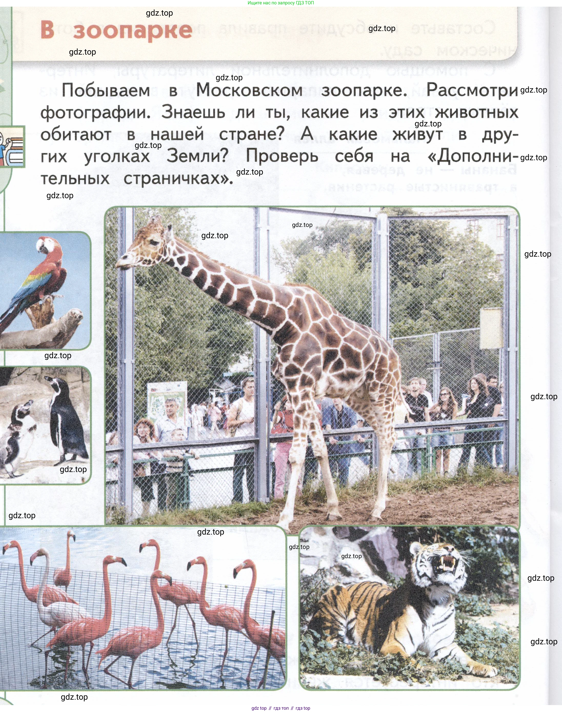 ГДЗ Окружающий мир, 1 класс Учебник, авторы: Плешаков Андрей Анатольевич, Новицкая Марина Юрьевна, издательство Просвещение, Москва, 2023, белого цвета, Часть 2, страница 28, Условие