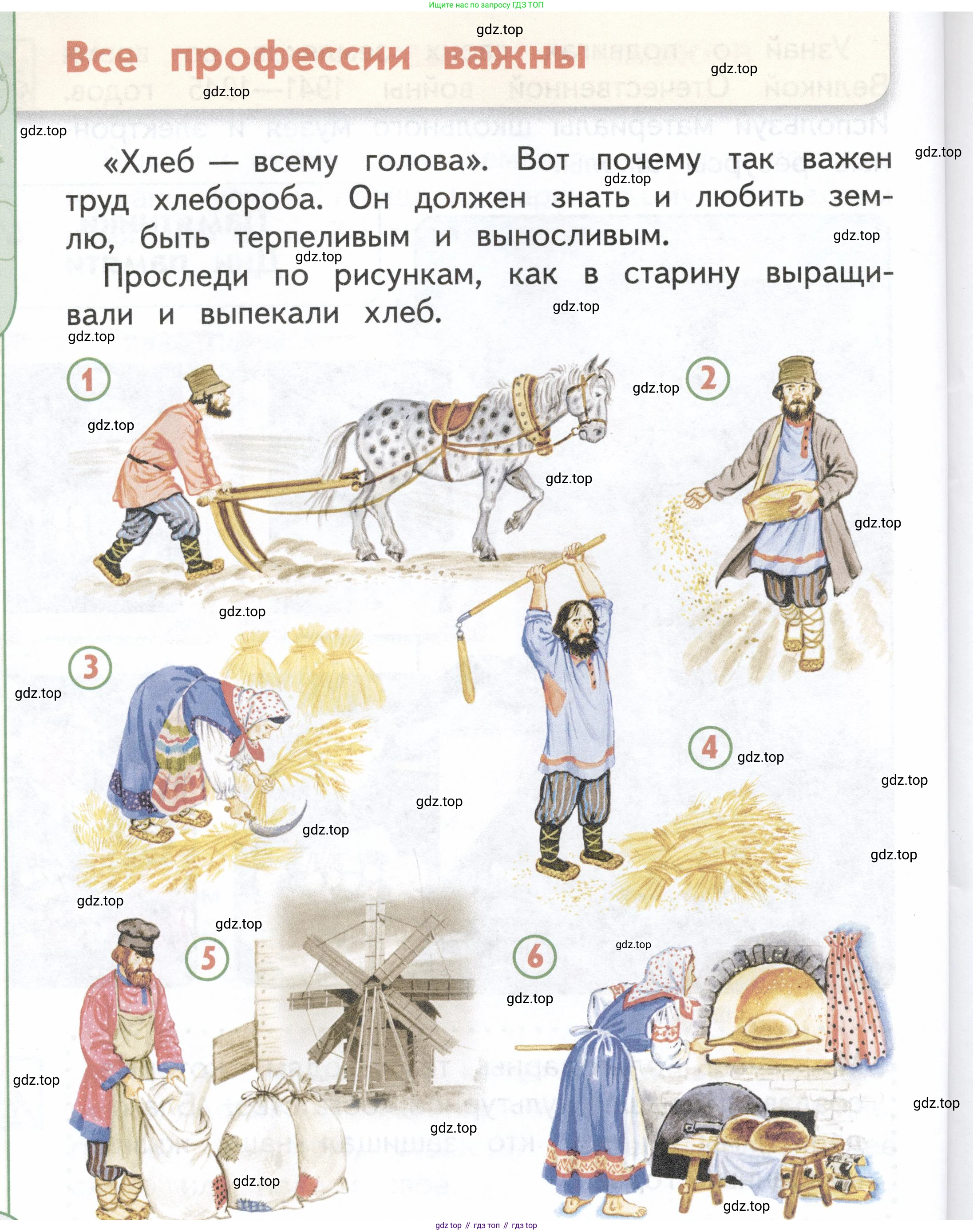 ГДЗ Окружающий мир, 1 класс Учебник, авторы: Плешаков Андрей Анатольевич, Новицкая Марина Юрьевна, издательство Просвещение, Москва, 2023, белого цвета, Часть 2, страница 36, Условие