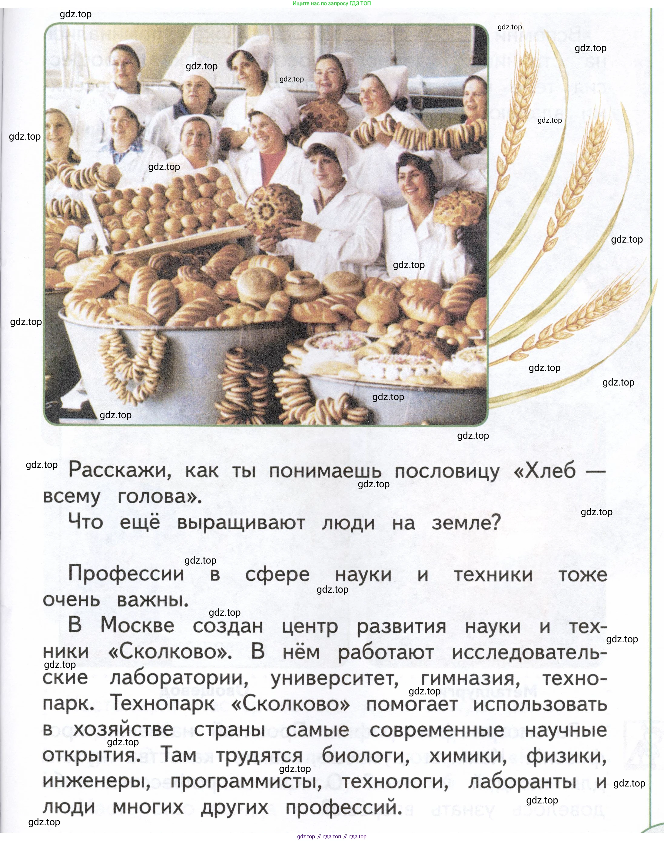ГДЗ Окружающий мир, 1 класс Учебник, авторы: Плешаков Андрей Анатольевич, Новицкая Марина Юрьевна, издательство Просвещение, Москва, 2023, белого цвета, Часть 2, страница 37, Условие
