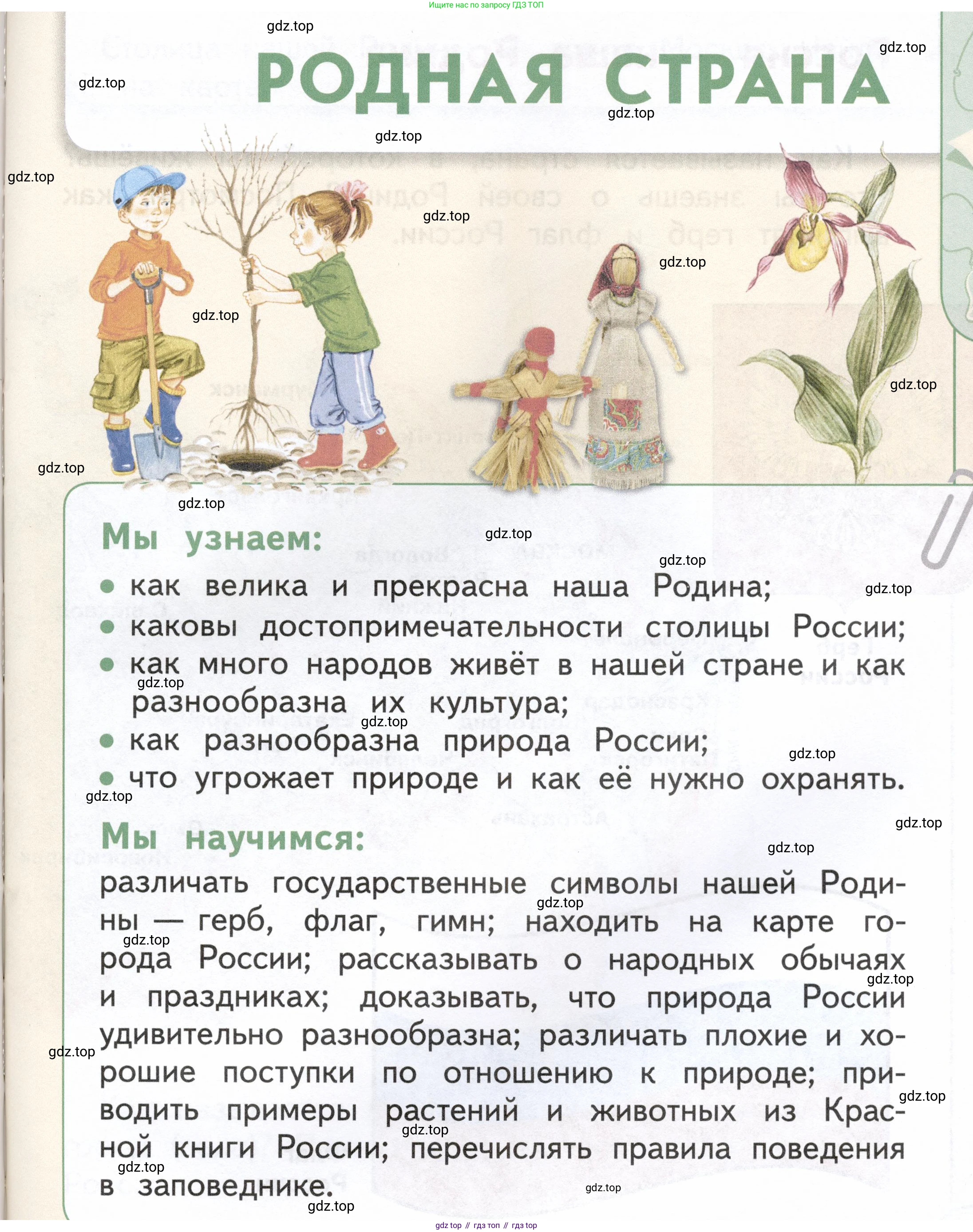 ГДЗ Окружающий мир, 1 класс Учебник, авторы: Плешаков Андрей Анатольевич, Новицкая Марина Юрьевна, издательство Просвещение, Москва, 2023, белого цвета, Часть 2, страница 41, Условие