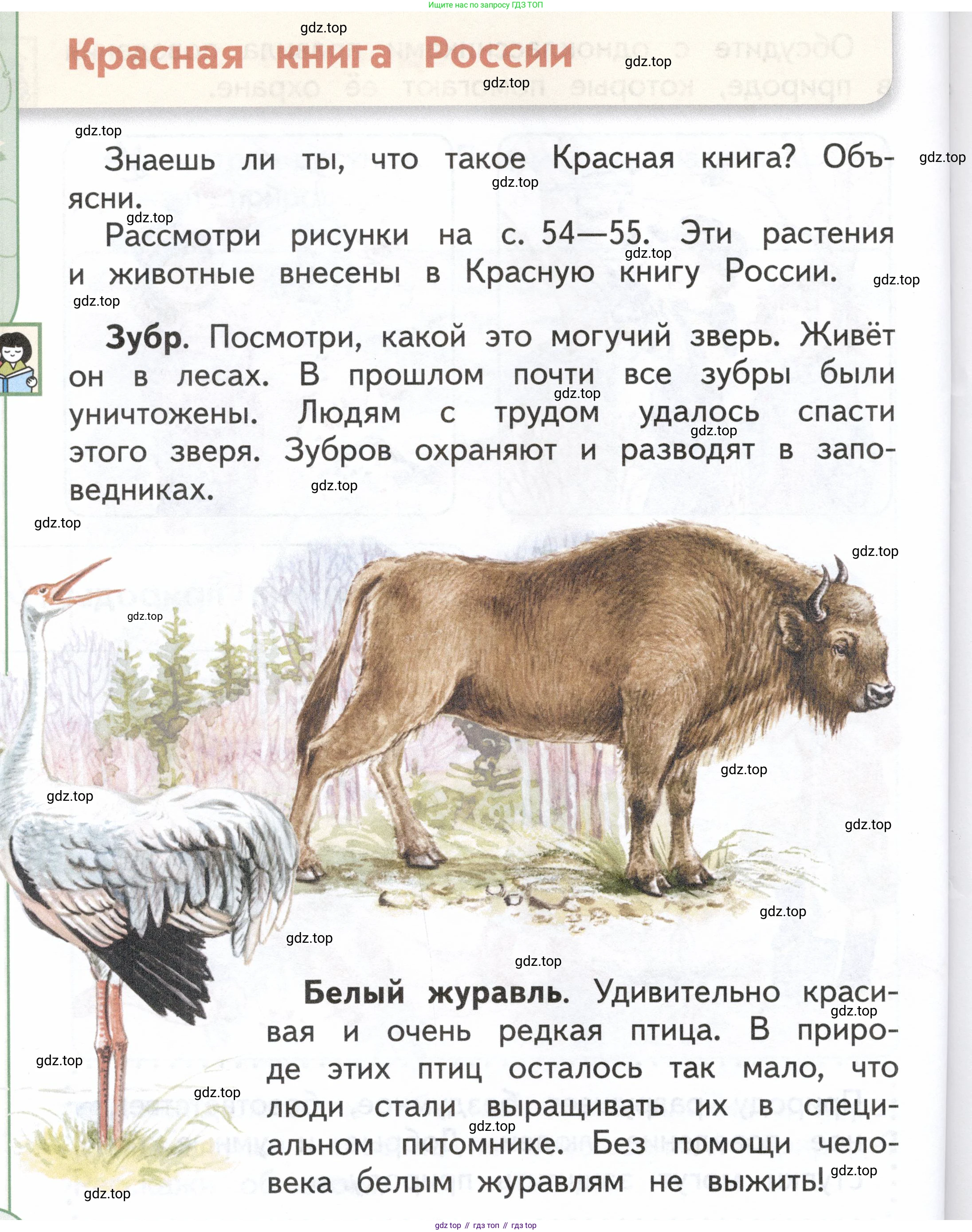 ГДЗ Окружающий мир, 1 класс Учебник, авторы: Плешаков Андрей Анатольевич, Новицкая Марина Юрьевна, издательство Просвещение, Москва, 2023, белого цвета, Часть 2, страница 54, Условие