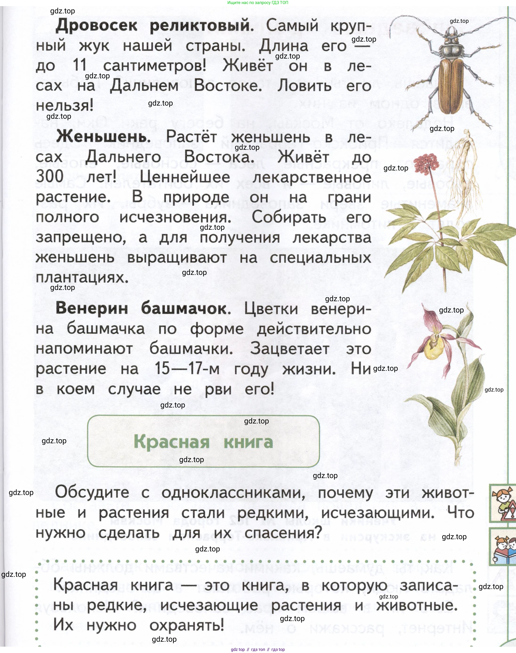 ГДЗ Окружающий мир, 1 класс Учебник, авторы: Плешаков Андрей Анатольевич, Новицкая Марина Юрьевна, издательство Просвещение, Москва, 2023, белого цвета, Часть 2, страница 55, Условие