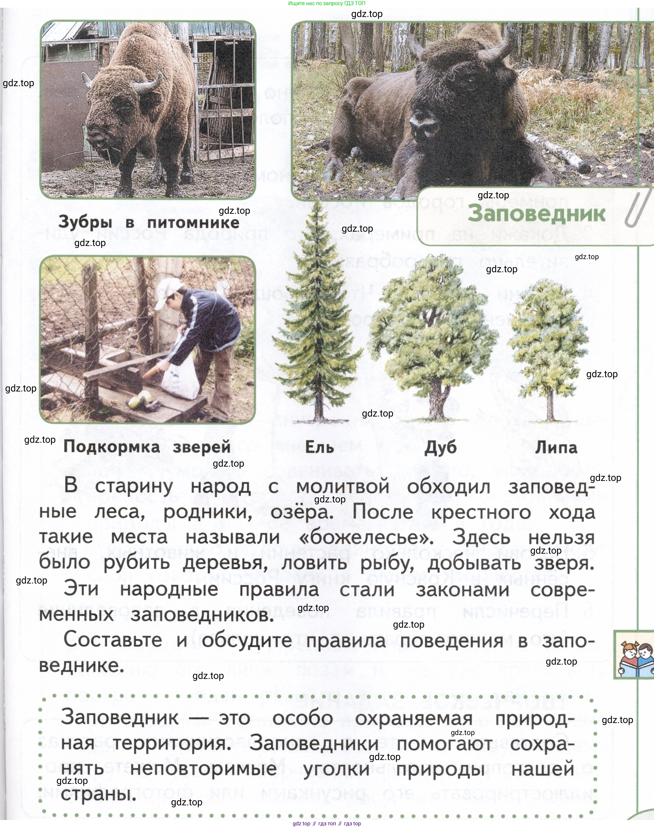 ГДЗ Окружающий мир, 1 класс Учебник, авторы: Плешаков Андрей Анатольевич, Новицкая Марина Юрьевна, издательство Просвещение, Москва, 2023, белого цвета, Часть 2, страница 57, Условие