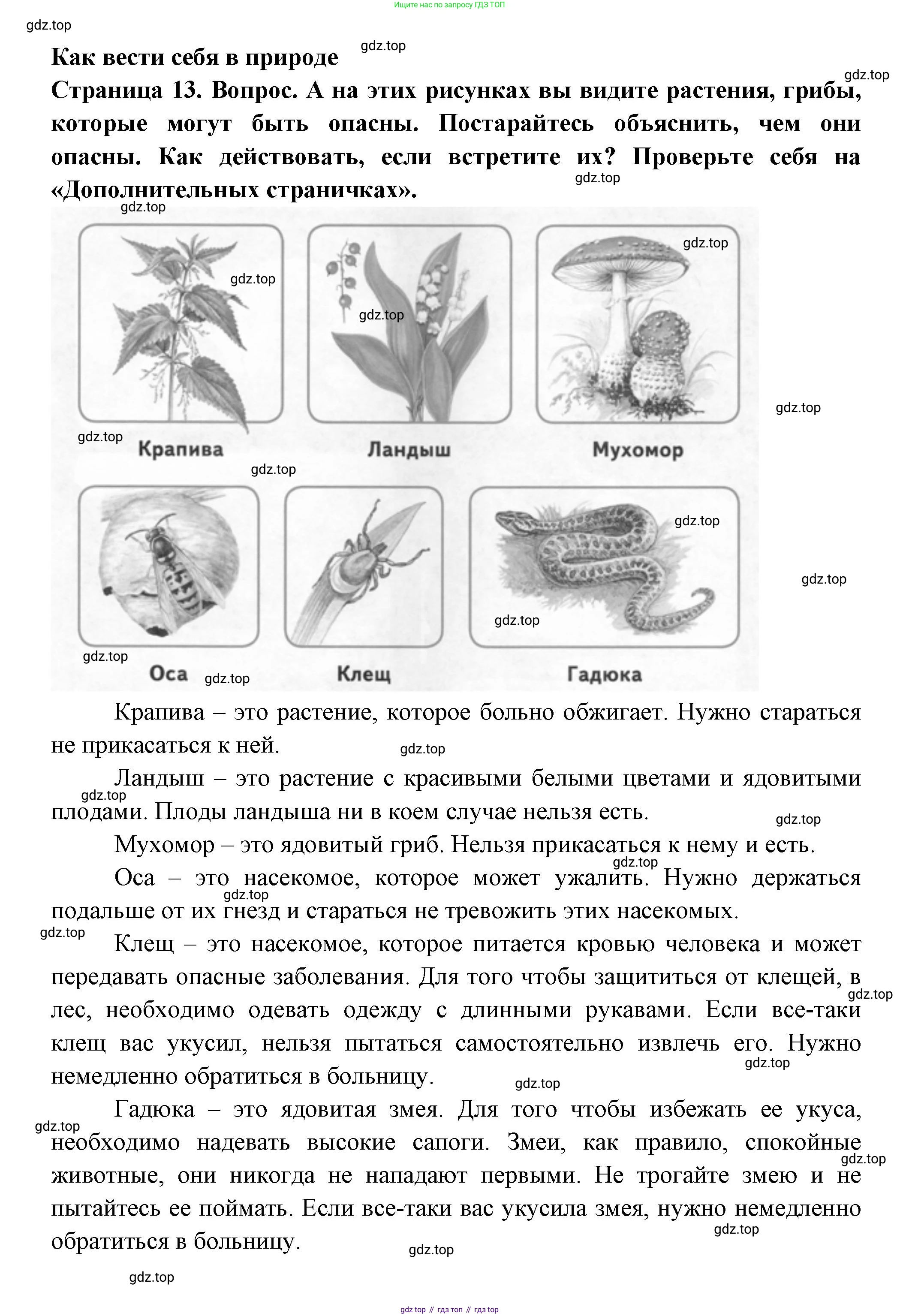 ГДЗ Окружающий мир, 1 класс Учебник, авторы: Плешаков Андрей Анатольевич, Новицкая Марина Юрьевна, издательство Просвещение, Москва, 2023, белого цвета, Часть 1, страница 13, Решение