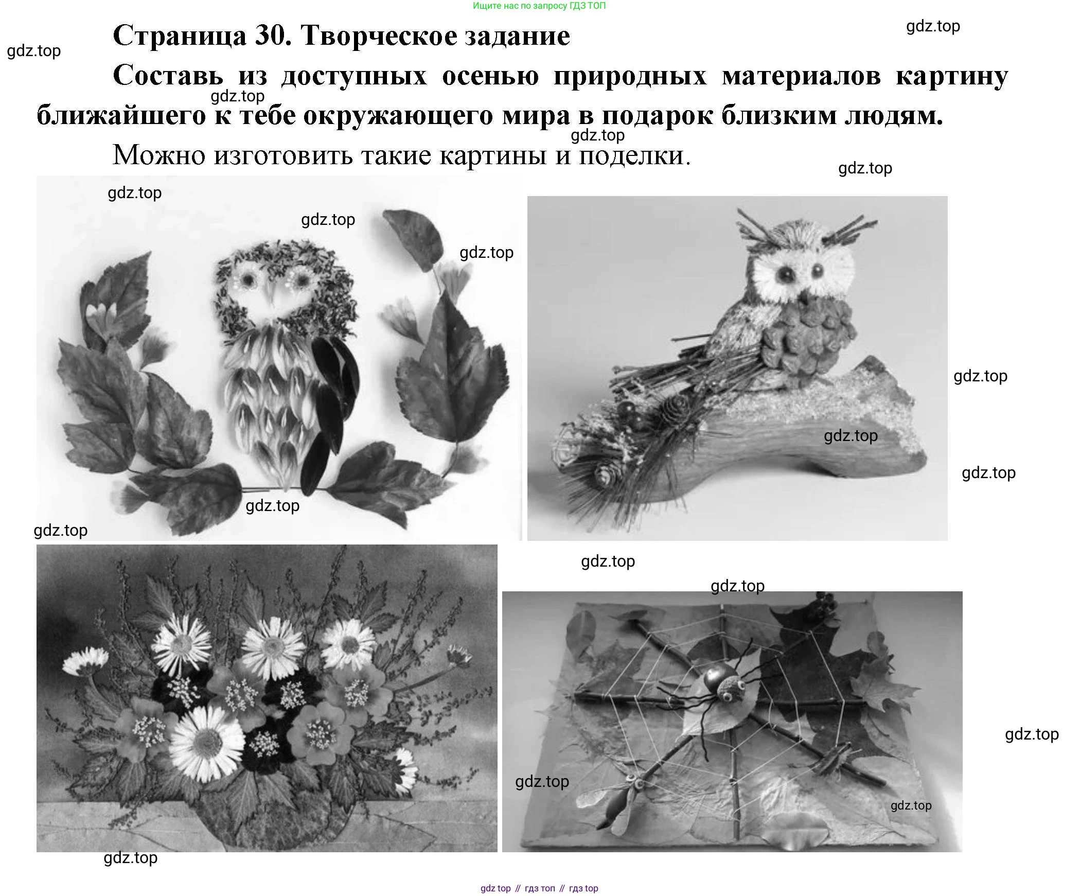 ГДЗ Окружающий мир, 1 класс Учебник, авторы: Плешаков Андрей Анатольевич, Новицкая Марина Юрьевна, издательство Просвещение, Москва, 2023, белого цвета, Часть 1, страница 30, Решение (продолжение 2)