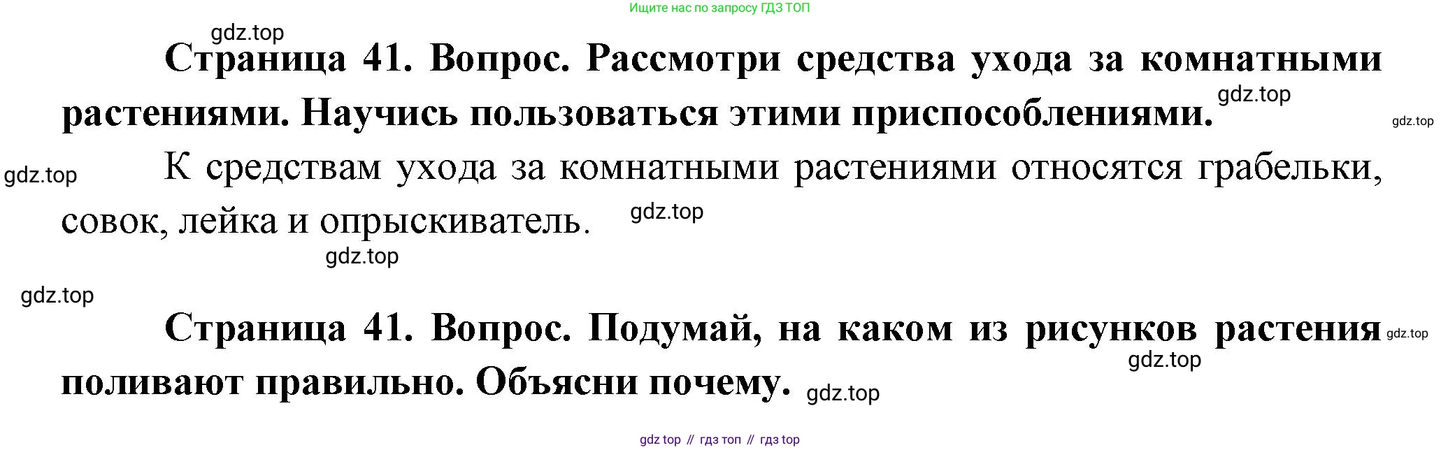ГДЗ Окружающий мир, 1 класс Учебник, авторы: Плешаков Андрей Анатольевич, Новицкая Марина Юрьевна, издательство Просвещение, Москва, 2023, белого цвета, Часть 1, страница 41, Решение