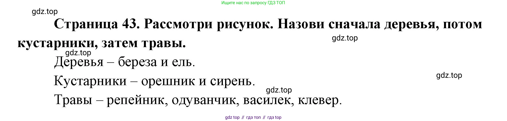 ГДЗ Окружающий мир, 1 класс Учебник, авторы: Плешаков Андрей Анатольевич, Новицкая Марина Юрьевна, издательство Просвещение, Москва, 2023, белого цвета, Часть 1, страница 43, Решение