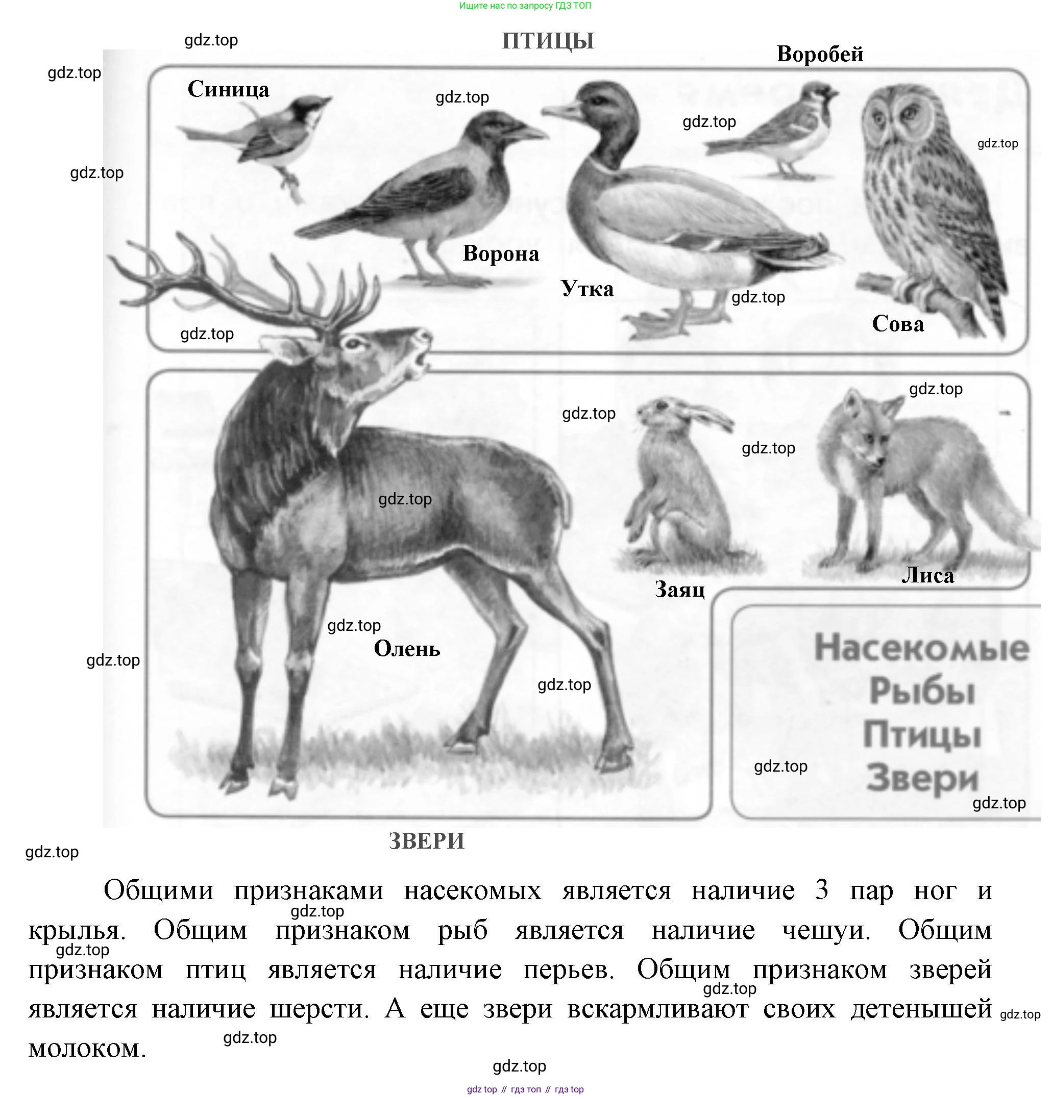 ГДЗ Окружающий мир, 1 класс Учебник, авторы: Плешаков Андрей Анатольевич, Новицкая Марина Юрьевна, издательство Просвещение, Москва, 2023, белого цвета, Часть 1, страница 44, Решение (продолжение 2)