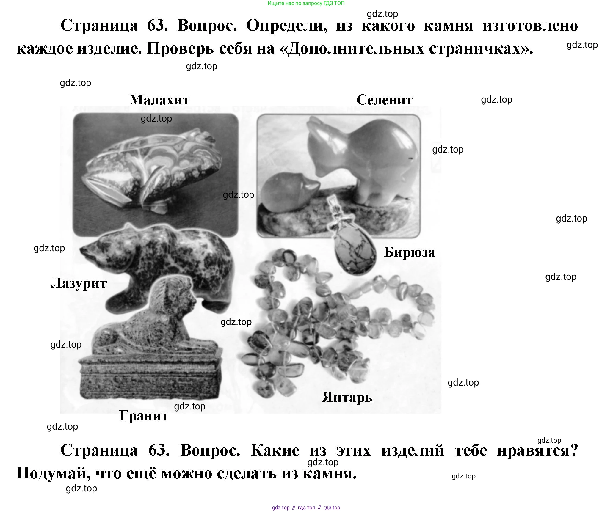 ГДЗ Окружающий мир, 1 класс Учебник, авторы: Плешаков Андрей Анатольевич, Новицкая Марина Юрьевна, издательство Просвещение, Москва, 2023, белого цвета, Часть 1, страница 63, Решение