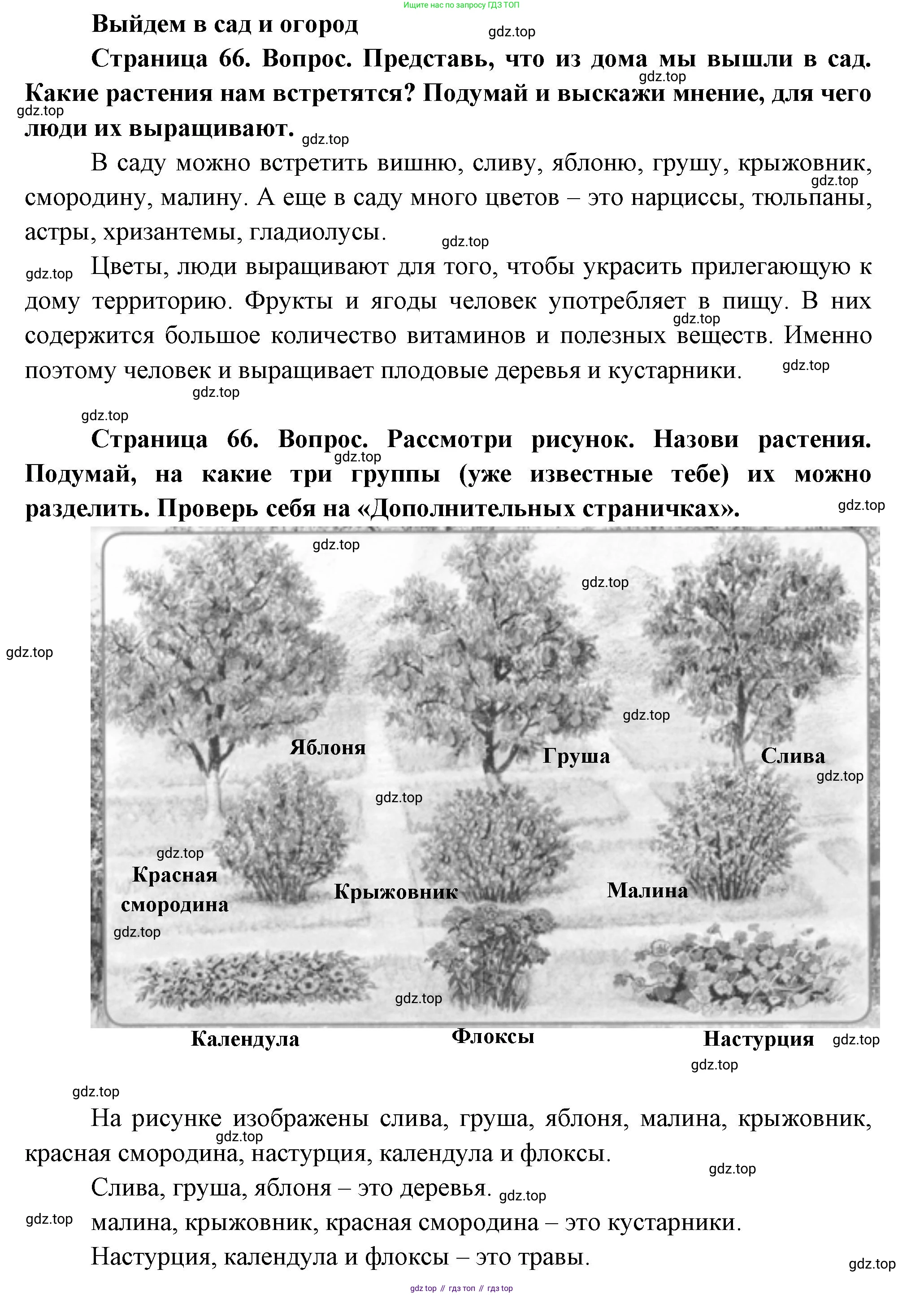 ГДЗ Окружающий мир, 1 класс Учебник, авторы: Плешаков Андрей Анатольевич, Новицкая Марина Юрьевна, издательство Просвещение, Москва, 2023, белого цвета, Часть 1, страница 66, Решение