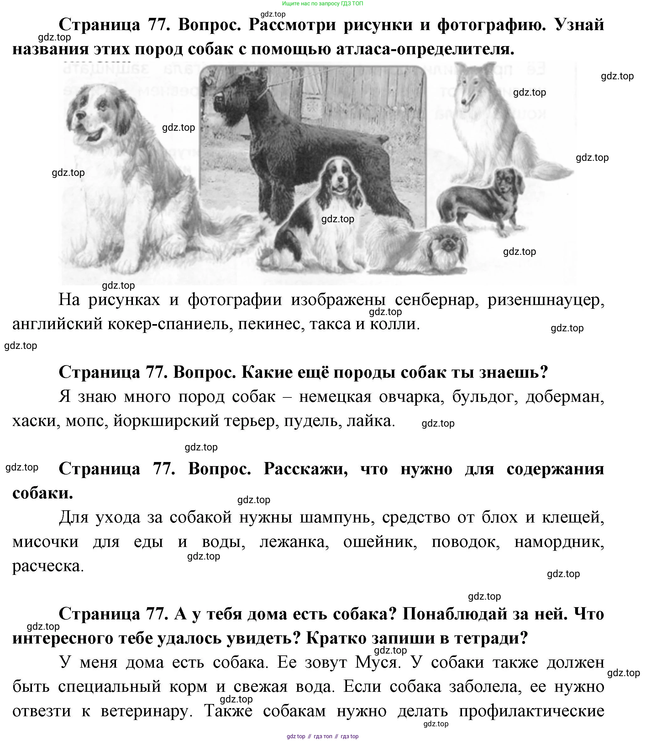 ГДЗ Окружающий мир, 1 класс Учебник, авторы: Плешаков Андрей Анатольевич, Новицкая Марина Юрьевна, издательство Просвещение, Москва, 2023, белого цвета, Часть 1, страница 77, Решение