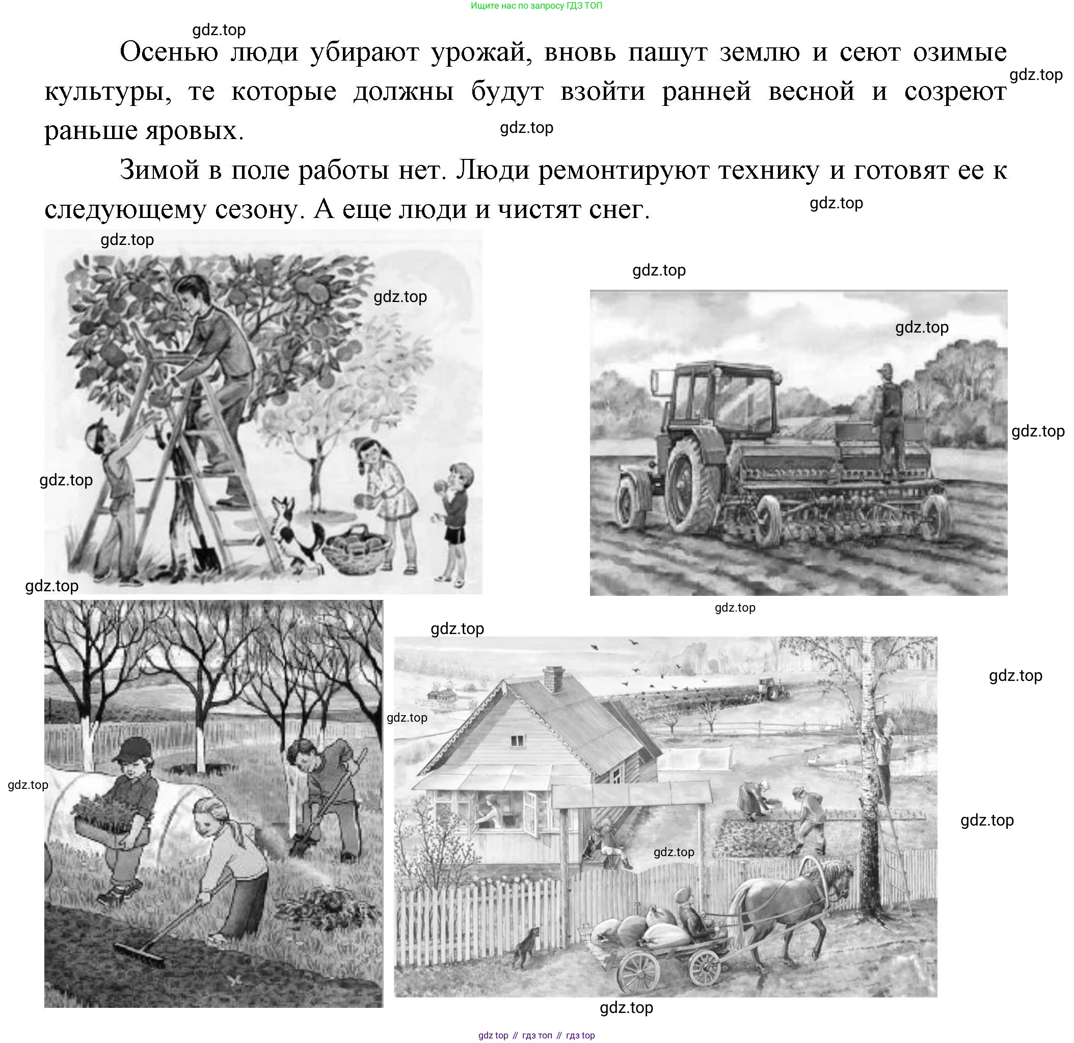 ГДЗ Окружающий мир, 1 класс Учебник, авторы: Плешаков Андрей Анатольевич, Новицкая Марина Юрьевна, издательство Просвещение, Москва, 2023, белого цвета, Часть 2, страница 17, Решение (продолжение 2)