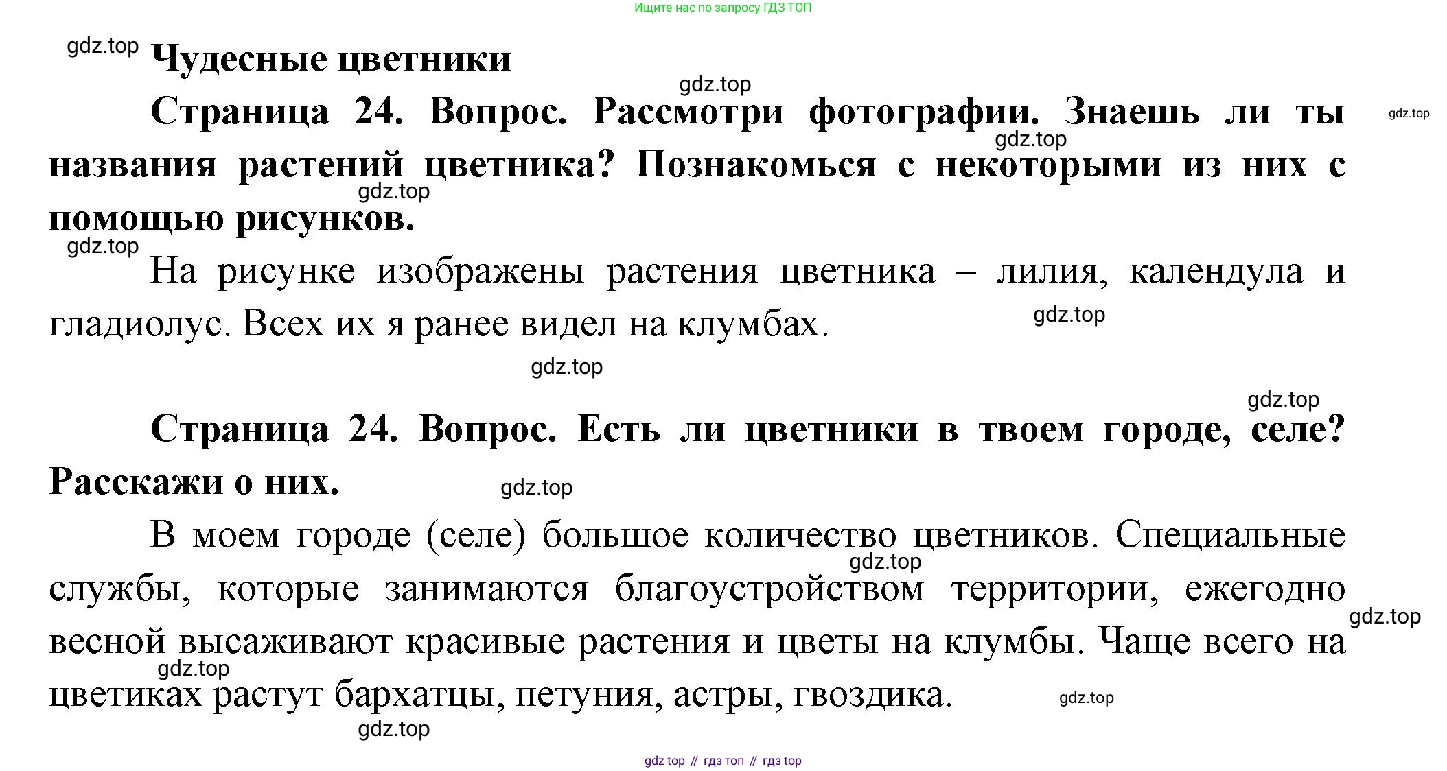 ГДЗ Окружающий мир, 1 класс Учебник, авторы: Плешаков Андрей Анатольевич, Новицкая Марина Юрьевна, издательство Просвещение, Москва, 2023, белого цвета, Часть 2, страница 24, Решение
