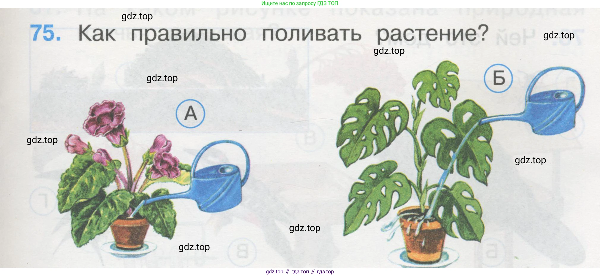 ГДЗ Окружающий мир, 1 класс Тесты, авторы: Плешаков Андрей Анатольевич, Гара Наталья Николаевна, Назарова З Д, издательство Просвещение, Москва, 2015, белого цвета, страница 27, номер 75, Условие