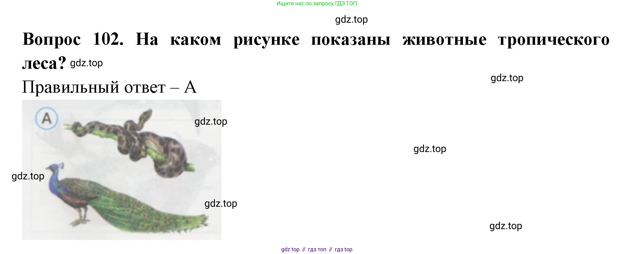 ГДЗ Окружающий мир, 1 класс Тесты, авторы: Плешаков Андрей Анатольевич, Гара Наталья Николаевна, Назарова З Д, издательство Просвещение, Москва, 2015, белого цвета, страница 36, номер 102, Решение
