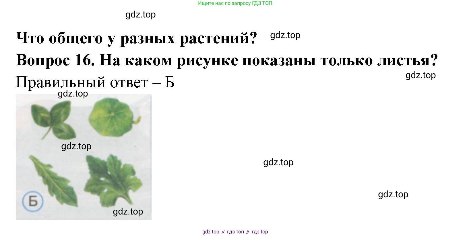 ГДЗ Окружающий мир, 1 класс Тесты, авторы: Плешаков Андрей Анатольевич, Гара Наталья Николаевна, Назарова З Д, издательство Просвещение, Москва, 2015, белого цвета, страница 8, номер 16, Решение