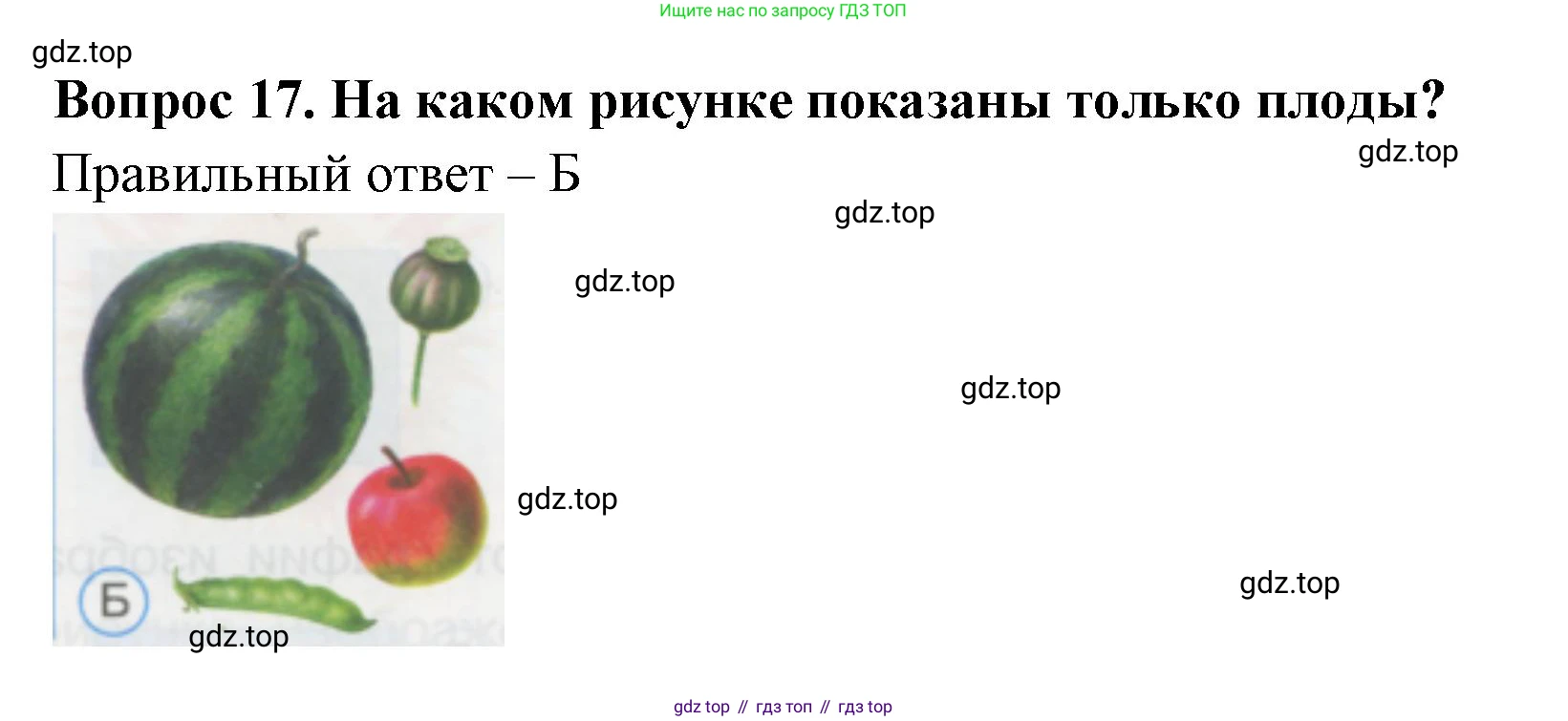 ГДЗ Окружающий мир, 1 класс Тесты, авторы: Плешаков Андрей Анатольевич, Гара Наталья Николаевна, Назарова З Д, издательство Просвещение, Москва, 2015, белого цвета, страница 8, номер 17, Решение