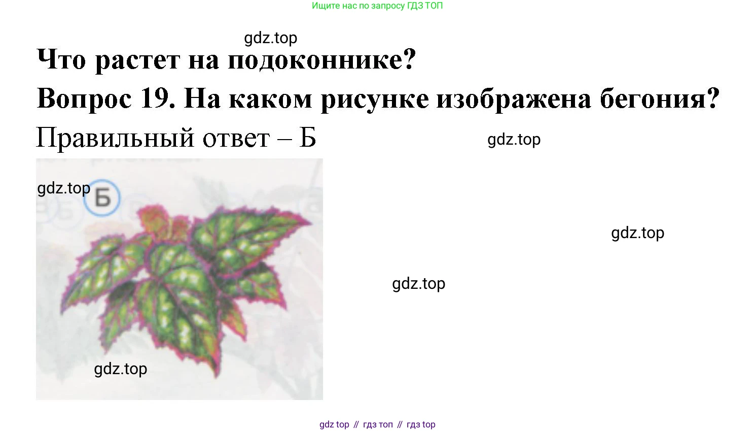 ГДЗ Окружающий мир, 1 класс Тесты, авторы: Плешаков Андрей Анатольевич, Гара Наталья Николаевна, Назарова З Д, издательство Просвещение, Москва, 2015, белого цвета, страница 9, номер 19, Решение