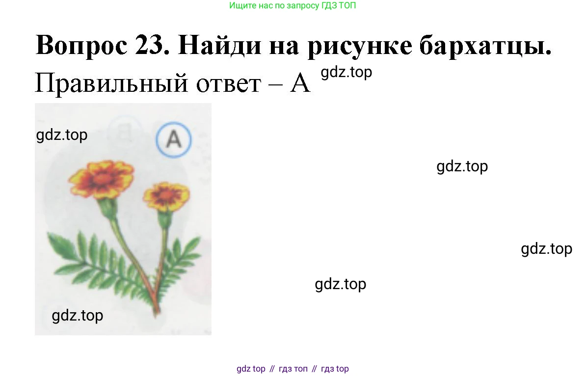 ГДЗ Окружающий мир, 1 класс Тесты, авторы: Плешаков Андрей Анатольевич, Гара Наталья Николаевна, Назарова З Д, издательство Просвещение, Москва, 2015, белого цвета, страница 10, номер 23, Решение