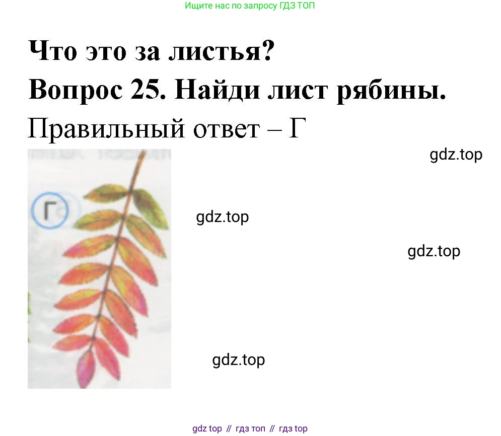 ГДЗ Окружающий мир, 1 класс Тесты, авторы: Плешаков Андрей Анатольевич, Гара Наталья Николаевна, Назарова З Д, издательство Просвещение, Москва, 2015, белого цвета, страница 11, номер 25, Решение