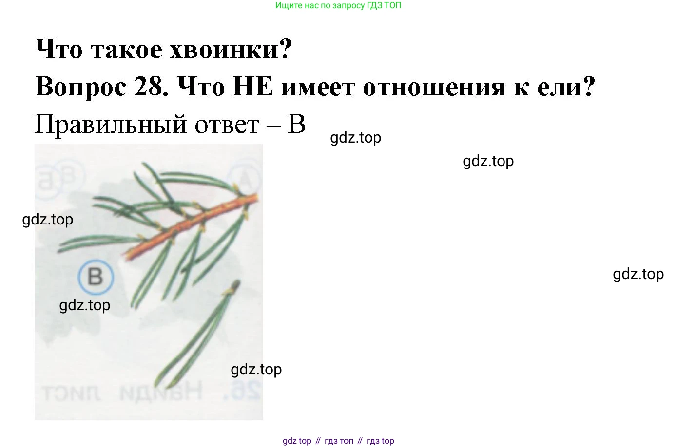 ГДЗ Окружающий мир, 1 класс Тесты, авторы: Плешаков Андрей Анатольевич, Гара Наталья Николаевна, Назарова З Д, издательство Просвещение, Москва, 2015, белого цвета, страница 12, номер 28, Решение