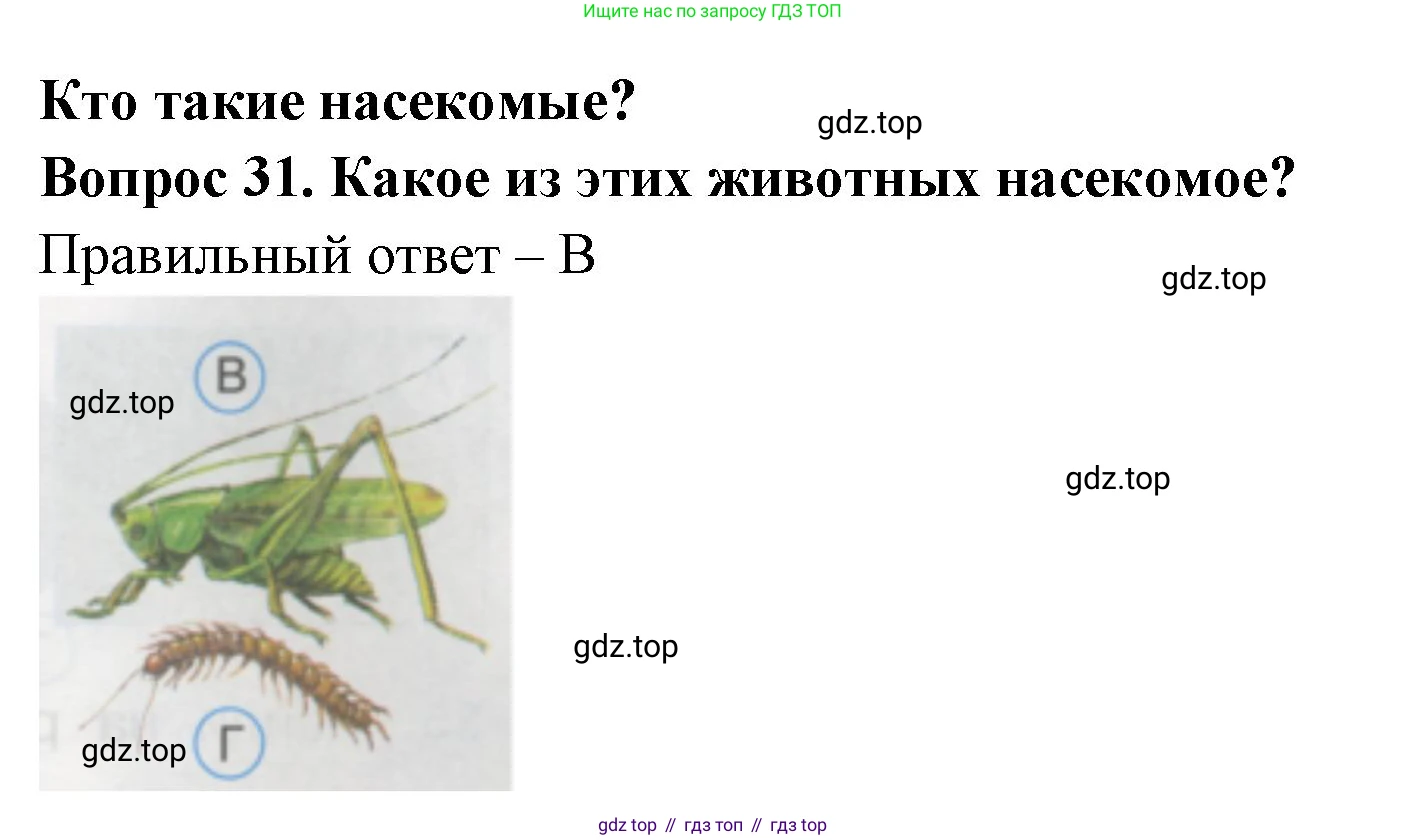 ГДЗ Окружающий мир, 1 класс Тесты, авторы: Плешаков Андрей Анатольевич, Гара Наталья Николаевна, Назарова З Д, издательство Просвещение, Москва, 2015, белого цвета, страница 13, номер 31, Решение