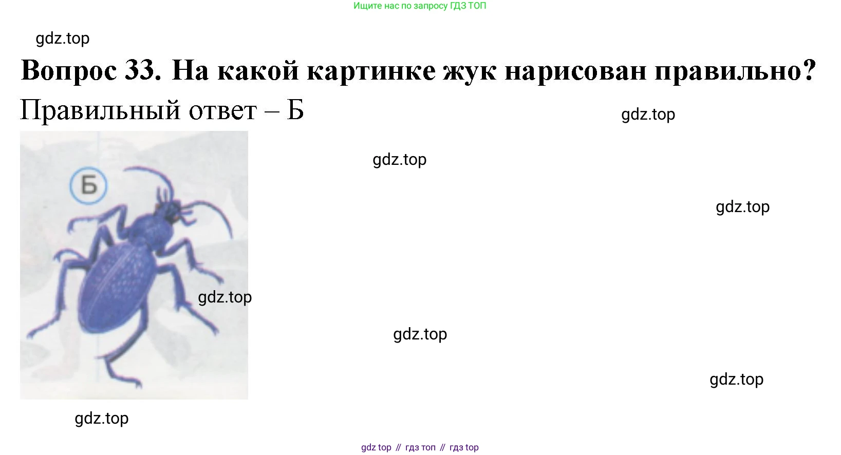 ГДЗ Окружающий мир, 1 класс Тесты, авторы: Плешаков Андрей Анатольевич, Гара Наталья Николаевна, Назарова З Д, издательство Просвещение, Москва, 2015, белого цвета, страница 13, номер 33, Решение