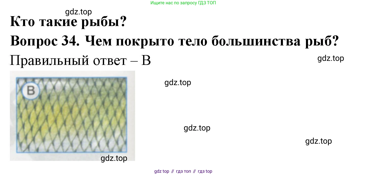 ГДЗ Окружающий мир, 1 класс Тесты, авторы: Плешаков Андрей Анатольевич, Гара Наталья Николаевна, Назарова З Д, издательство Просвещение, Москва, 2015, белого цвета, страница 14, номер 34, Решение