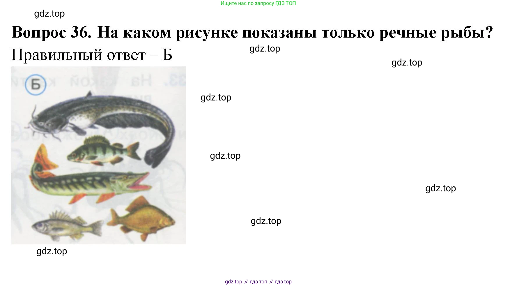 ГДЗ Окружающий мир, 1 класс Тесты, авторы: Плешаков Андрей Анатольевич, Гара Наталья Николаевна, Назарова З Д, издательство Просвещение, Москва, 2015, белого цвета, страница 14, номер 36, Решение