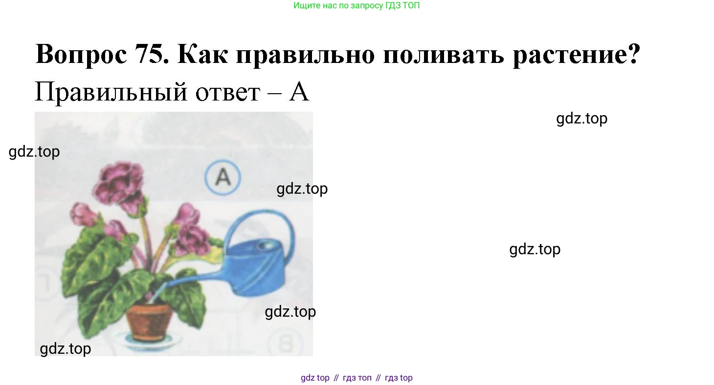 ГДЗ Окружающий мир, 1 класс Тесты, авторы: Плешаков Андрей Анатольевич, Гара Наталья Николаевна, Назарова З Д, издательство Просвещение, Москва, 2015, белого цвета, страница 27, номер 75, Решение