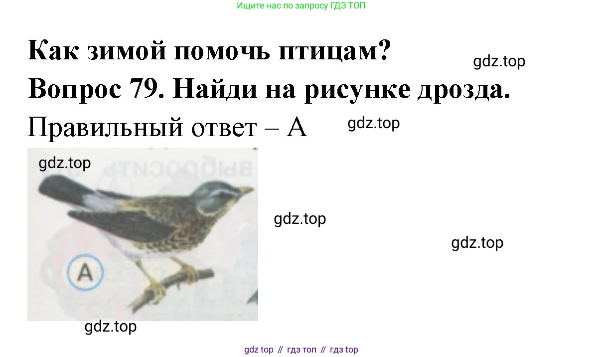 ГДЗ Окружающий мир, 1 класс Тесты, авторы: Плешаков Андрей Анатольевич, Гара Наталья Николаевна, Назарова З Д, издательство Просвещение, Москва, 2015, белого цвета, страница 29, номер 79, Решение