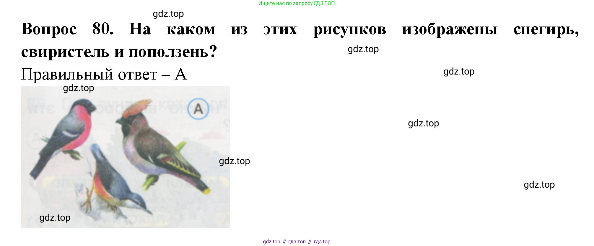 ГДЗ Окружающий мир, 1 класс Тесты, авторы: Плешаков Андрей Анатольевич, Гара Наталья Николаевна, Назарова З Д, издательство Просвещение, Москва, 2015, белого цвета, страница 29, номер 80, Решение
