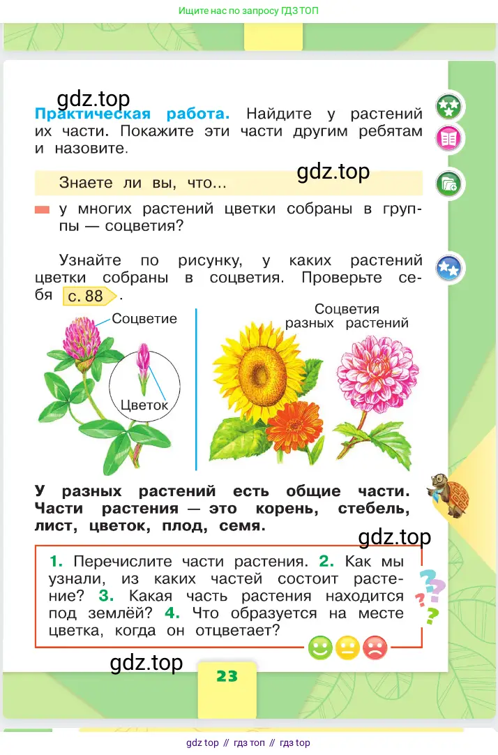 Окружающий мир, 1 класс Учебник, автор: Плешаков Андрей Анатольевич, издательство Просвещение, Москва, 2023, белого цвета, страница 23