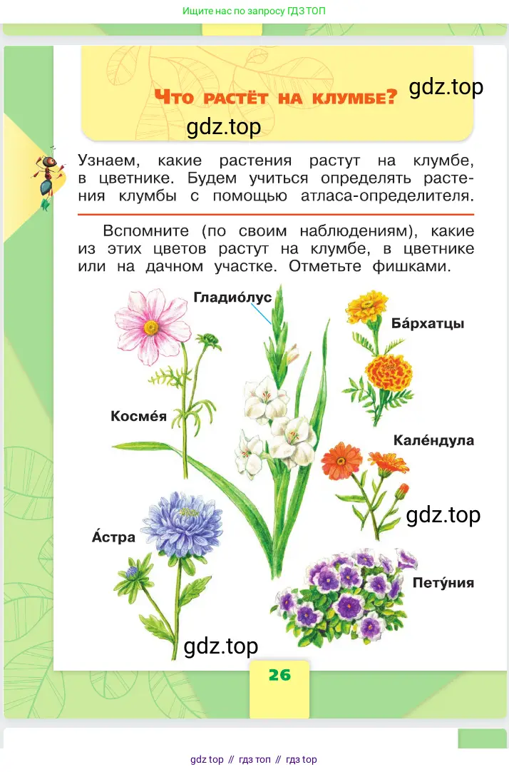 Окружающий мир, 1 класс Учебник, автор: Плешаков Андрей Анатольевич, издательство Просвещение, Москва, 2023, белого цвета, Часть 1, страница 26