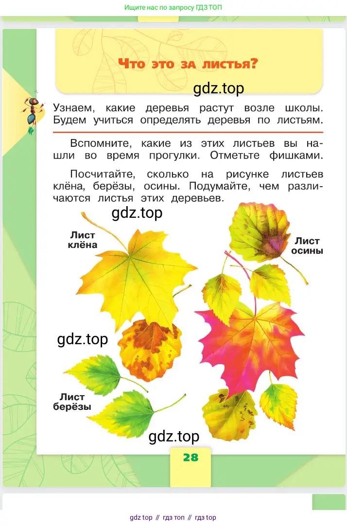 Окружающий мир, 1 класс Учебник, автор: Плешаков Андрей Анатольевич, издательство Просвещение, Москва, 2023, белого цвета, Часть 1, страница 28