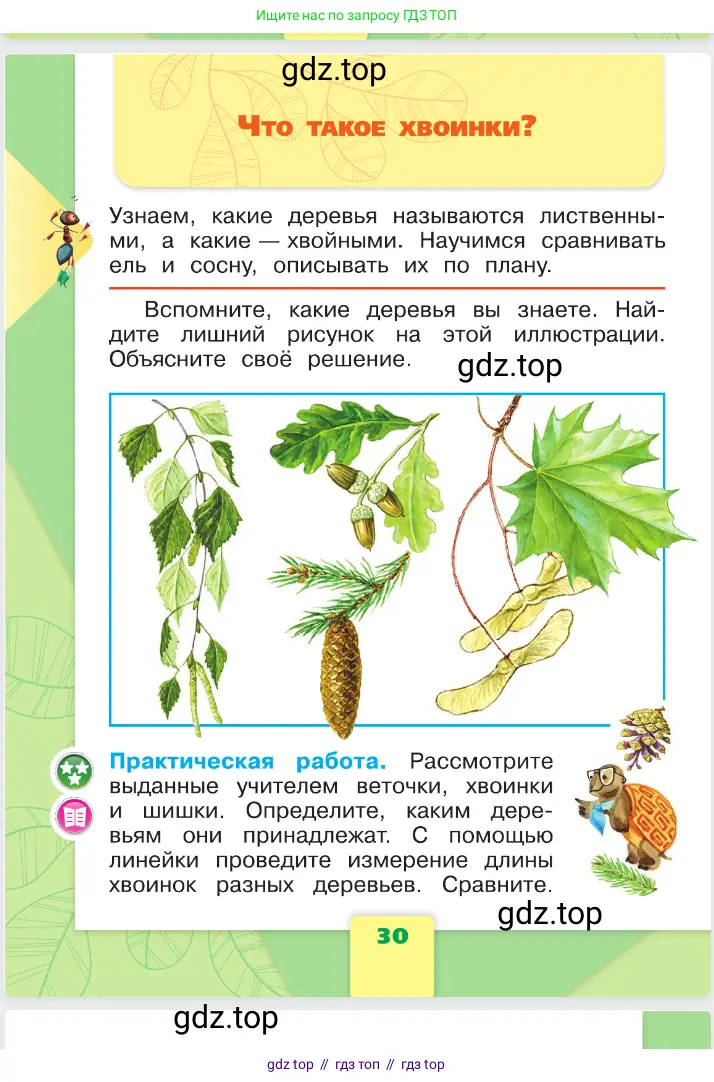 Окружающий мир, 1 класс Учебник, автор: Плешаков Андрей Анатольевич, издательство Просвещение, Москва, 2023, белого цвета, Часть 1, страница 30