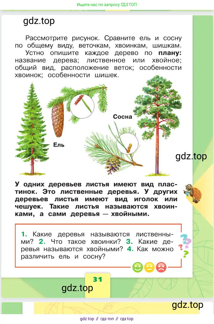 Окружающий мир, 1 класс Учебник, автор: Плешаков Андрей Анатольевич, издательство Просвещение, Москва, 2023, белого цвета, страница 31