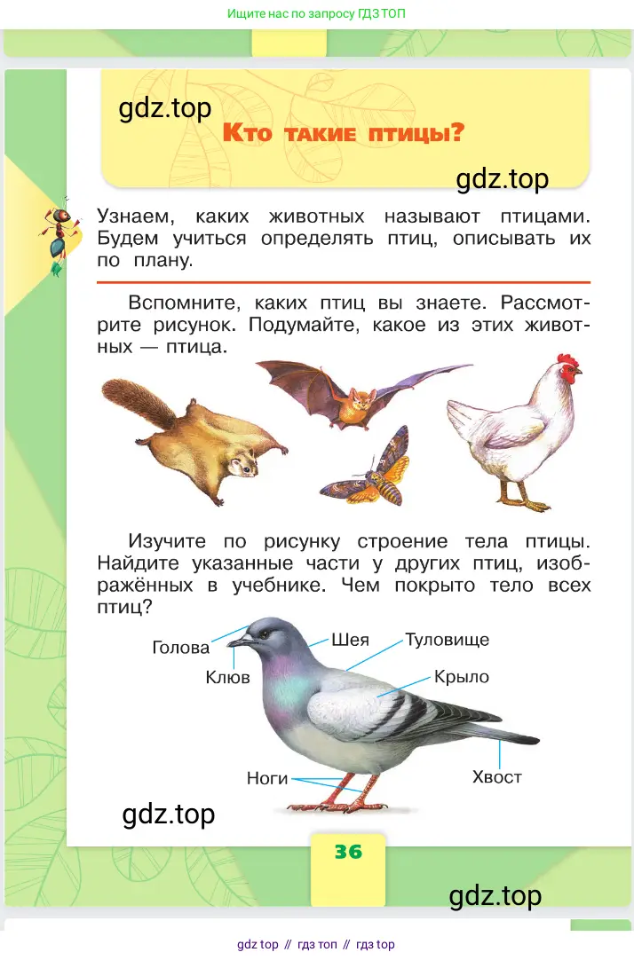 Окружающий мир, 1 класс Учебник, автор: Плешаков Андрей Анатольевич, издательство Просвещение, Москва, 2023, белого цвета, Часть 1, страница 36