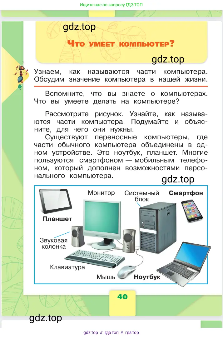 Окружающий мир, 1 класс Учебник, автор: Плешаков Андрей Анатольевич, издательство Просвещение, Москва, 2023, белого цвета, Часть 1, страница 40