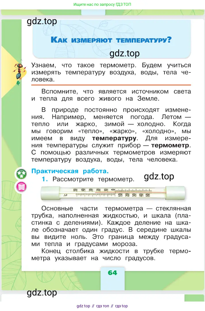 Окружающий мир, 1 класс Учебник, автор: Плешаков Андрей Анатольевич, издательство Просвещение, Москва, 2023, белого цвета, Часть 1, страница 64