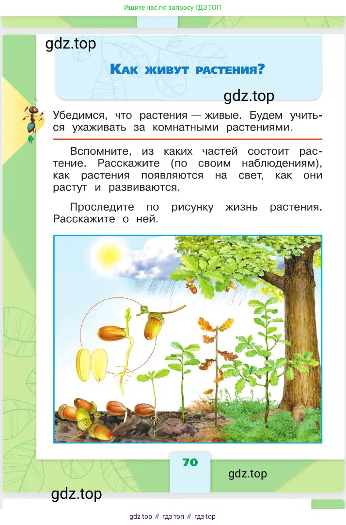 Окружающий мир, 1 класс Учебник, автор: Плешаков Андрей Анатольевич, издательство Просвещение, Москва, 2023, белого цвета, Часть 1, страница 70