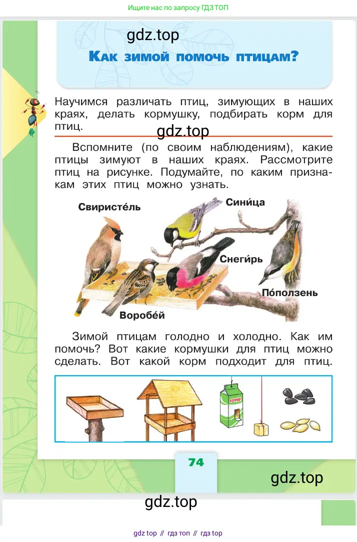 Окружающий мир, 1 класс Учебник, автор: Плешаков Андрей Анатольевич, издательство Просвещение, Москва, 2023, белого цвета, Часть 1, страница 74