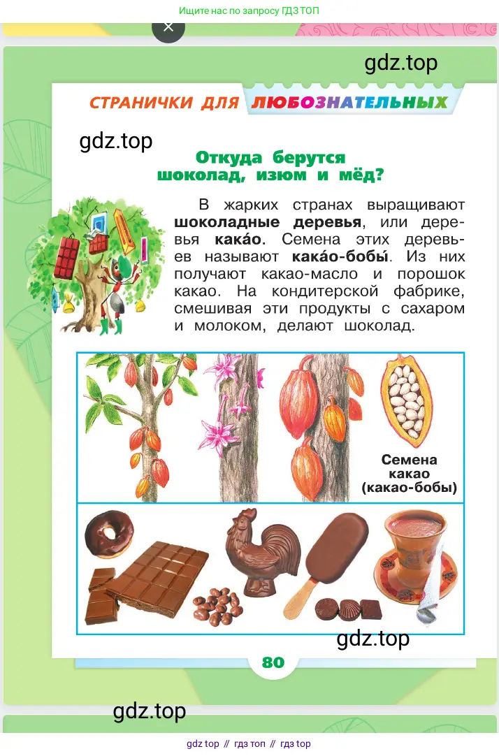 Окружающий мир, 1 класс Учебник, автор: Плешаков Андрей Анатольевич, издательство Просвещение, Москва, 2023, белого цвета, Часть 1, страница 80