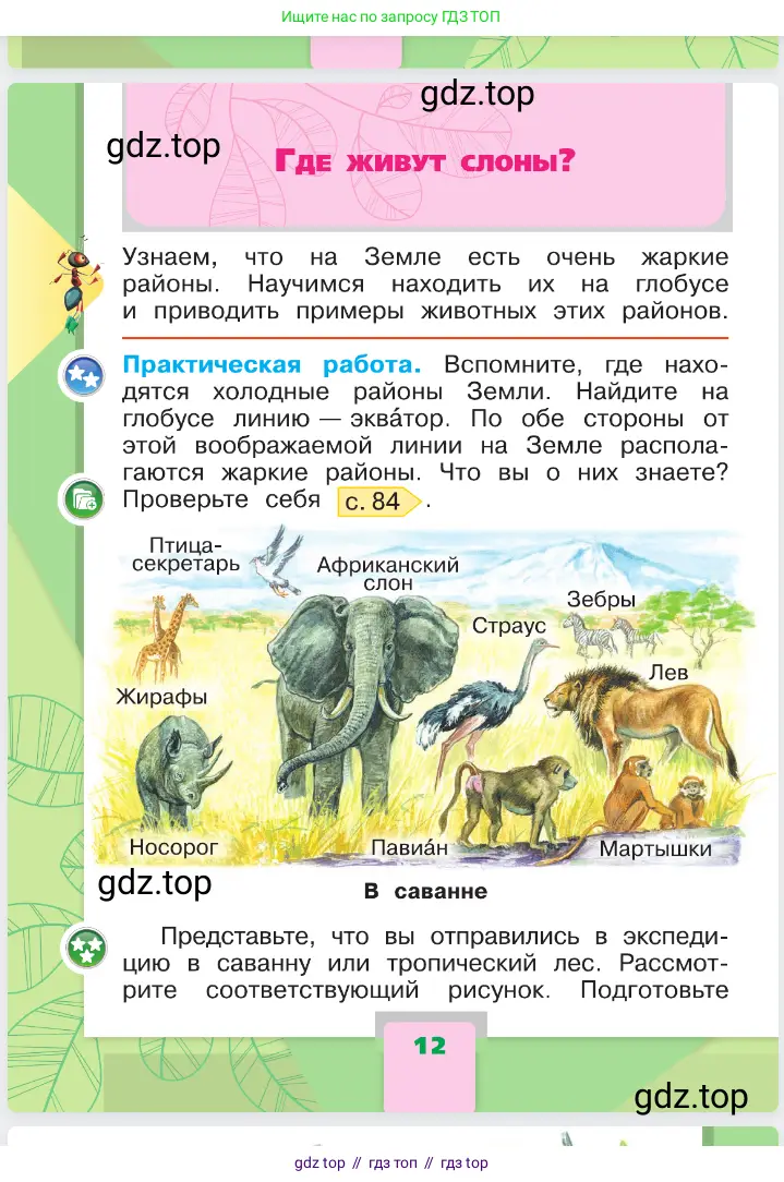 Окружающий мир, 1 класс Учебник, автор: Плешаков Андрей Анатольевич, издательство Просвещение, Москва, 2023, белого цвета, Часть 1, страница 12